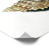 マリアシビッラメリアンチューリップ二つのマートルの枝 ポスター (角)