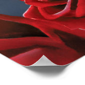 マリアシュガースカルレッドローゼス ポスター (角)