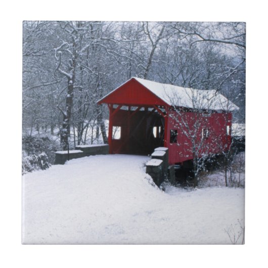 マリアナ郡ペンシルバニア州アメリカ合衆国 タイル (正面)