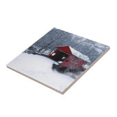 マリアナ郡ペンシルバニア州アメリカ合衆国 タイル (側面)