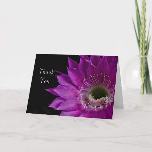 マリアピアッツァサボテン開花ありがとう サンキューカード (正面)