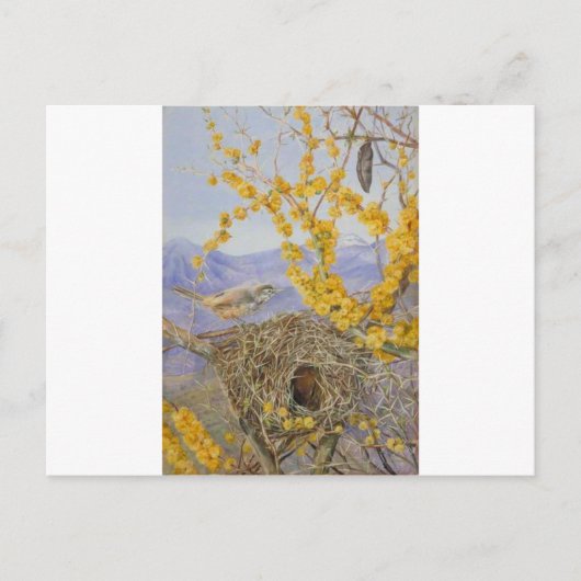 マリアンによるアカシアの茂みにある武装した鳥の巣、チリ ポストカード (正面)