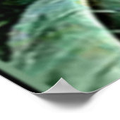 マリアンヌノースオレアリアアルゴフィラ ポスター (角)