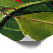 マリアンヌノース – エキゾチックな風景 ポスター (角)