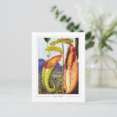 マリアンネ北#1 -ファインアートはがき ポストカード (スタンド正面)