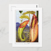 マリアンネ北#1 -ファインアートはがき ポストカード (正面/裏面)