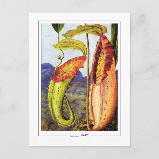 マリアンネ北#1 -ファインアートはがき ポストカード (正面)