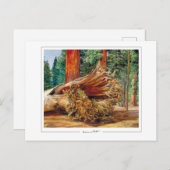 マリアンネ北#7 -ファインアートはがき ポストカード (正面/裏面)