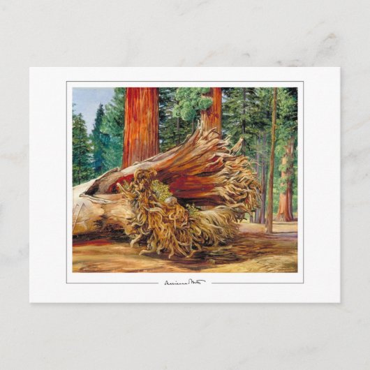 マリアンネ北#7 -ファインアートはがき ポストカード (正面)