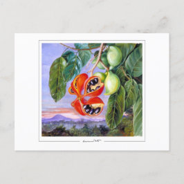 マリアンネ北#9 -ファインアートはがき ポストカード