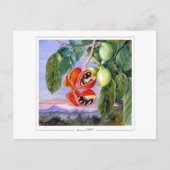 マリアンネ北#9 -ファインアートはがき ポストカード (正面)