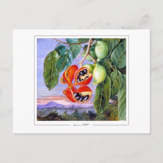 マリアンネ北#9 -ファインアートはがき ポストカード (正面)