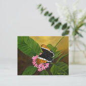 マリア・ウィリアムズによる錆びた先端の蝶はがき ポストカード (スタンド正面)