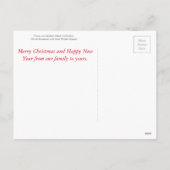 マリア、キリスト、聖アンと乳児Stl John シーズンポストカード (裏面)