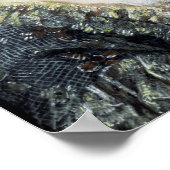 マリア・テレサ、オーストリアの皇后、1762年 ポスター (角)