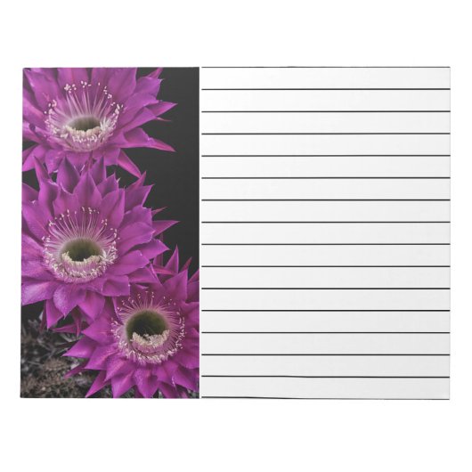 マリア・ピアッツァ三世 ノートパッド (正面)