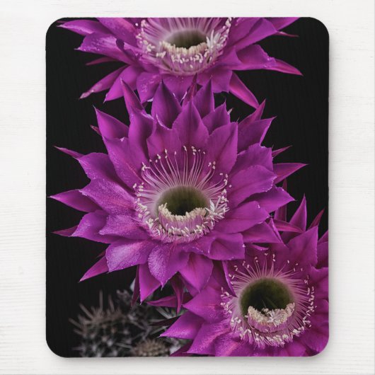 マリア・ピアッツァ三世 マウスパッド (正面)