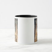 マリアClementina Sobieska 1739年への記念碑 マグカップ (中央)