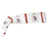 マリエル国旗 タイヘッドバンド (回転270)