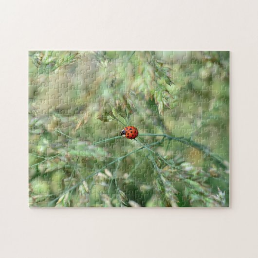 マリエンカファーが….. ジグソーパズル (横)