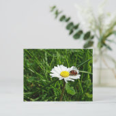 マリエンカファーオーフガーンセブリュムチェン ポストカード (スタンド正面)