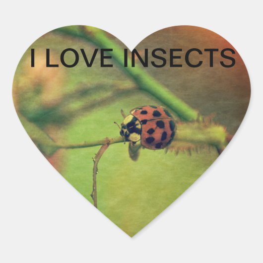 マリエンカファー ハートシール (正面)