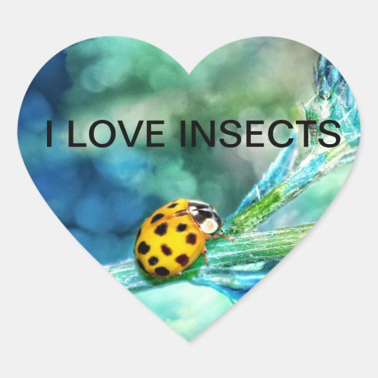 マリエンカファー ハートシール (正面)