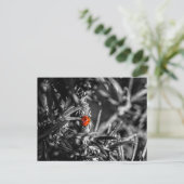 マリエンカファー ポストカード (スタンド正面)