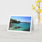 マリオンコーブ カード (黄色い花)