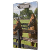 マリオン郡のサラブレッドの馬農場 クリップボード (左)