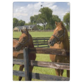 マリオン郡のサラブレッドの馬農場 クリップボード (裏面)