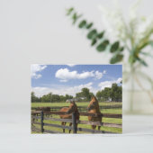 マリオン郡のサラブレッドの馬農場 ポストカード (スタンド正面)