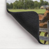 マリオン郡のサラブレッドの馬農場 マウスパッド (コーナー)