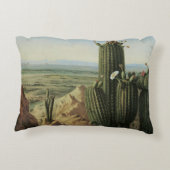 マリコパマウンテンニアリオギラバイプラットから眺める アクセントクッション (裏面)