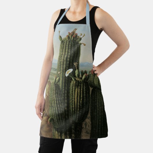 マリコパマウンテンニアリオギラバイプラットから眺める エプロン (インサイチュ)