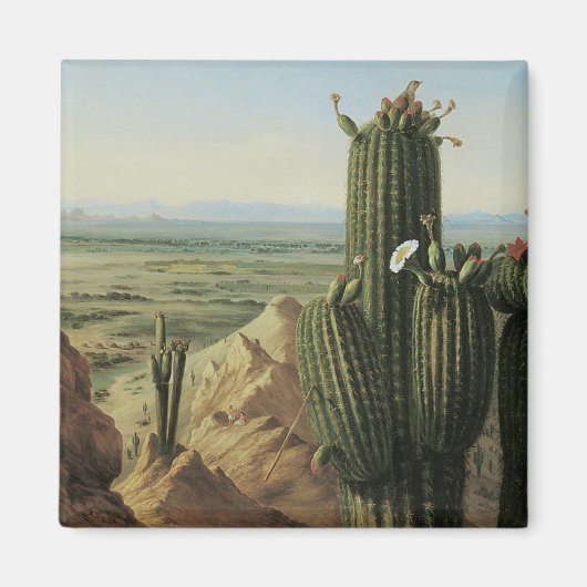 マリコパマウンテンニアリオギラバイプラットから眺める マグネット (正面)