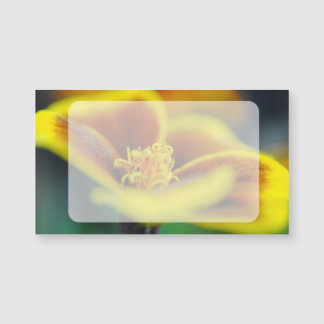 マリゴルドクローズアップ