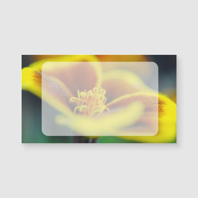 マリゴルドクローズアップ (正面)