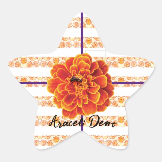 マリゴールドとビー 星シール (正面)