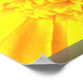 マリゴールドのクローズアップ ポスター (角)