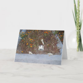 マリゴールドのフェイクスケルトンのデコレーション写真 カード