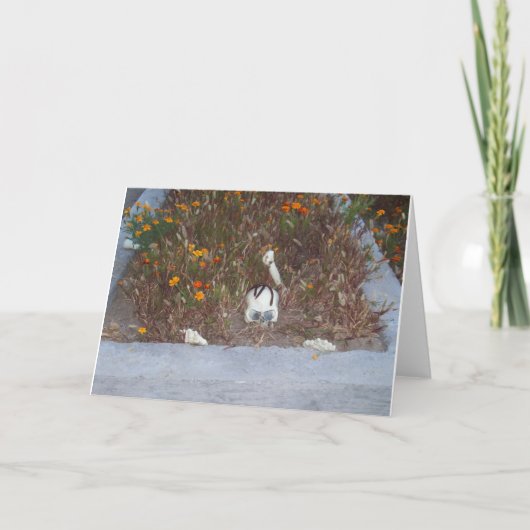 マリゴールドのフェイクスケルトンのデコレーション写真 カード (正面)