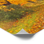 「マリゴールドの木が並ぶ田舎道」 ポスター (角)