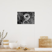 マリゴールドの花 ポスター (キッチン)