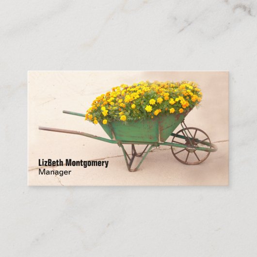 マリゴールド充填ヴィンテージ手押し車の気に芝生 名刺 (正面)