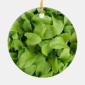 マリゴールド苗オーナメント セラミックオーナメント (裏面)