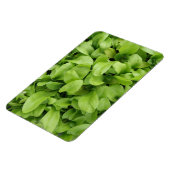 マリゴールド苗プレミアムマグネット マグネット (左側)