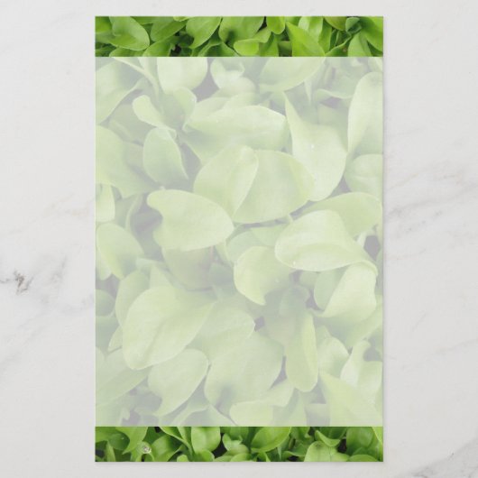 マリゴールド苗文房具 便箋 (正面)