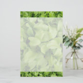 マリゴールド苗文房具 便箋 (スタンド正面)