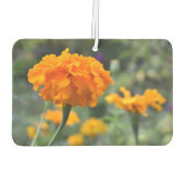 マリゴールド・オレンジ・フラワー自然写真園 カーエアーフレッシュナー (裏面)